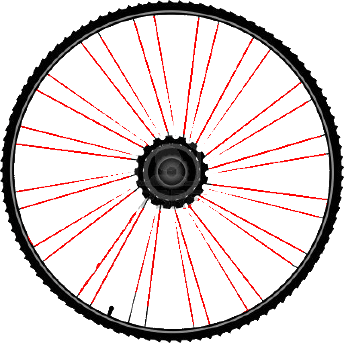 speiche rayon Translation, bersetzung, franzsisch, deutsch, dictionnaire, dictionary, woerterbuch, ExtraEnergy France, pedelec ebike fahrrad bersetzung deutsch franzsisch allemand franais traduction dictionnaire, elektrisches fahrrad, fahrrad mit elektrischer untersttzung elektrorad, pedelexicon